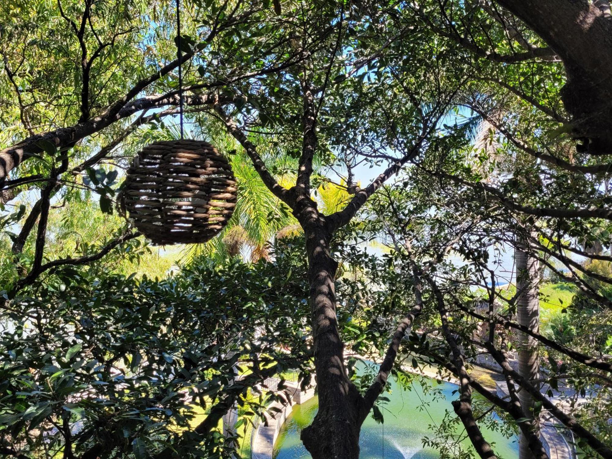 Nido Ecoluxury - Villa San Luis Boutique San Luis Soyatlán エクステリア 写真